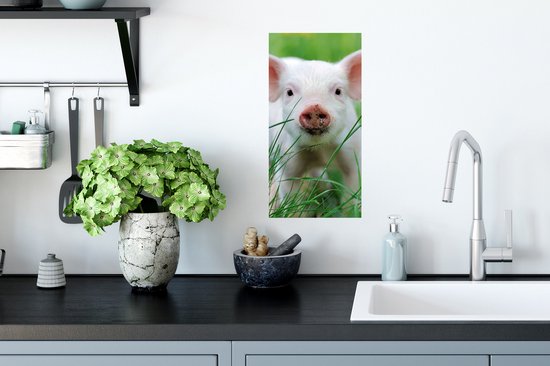 Poster Cochon - Animaux - Grand - 20x40 cm