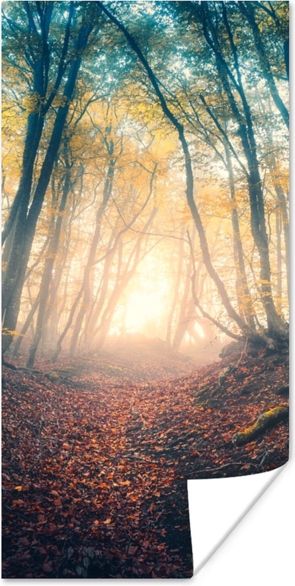 Poster Bos - Mist - Zon - Herfst - 75x150 cm