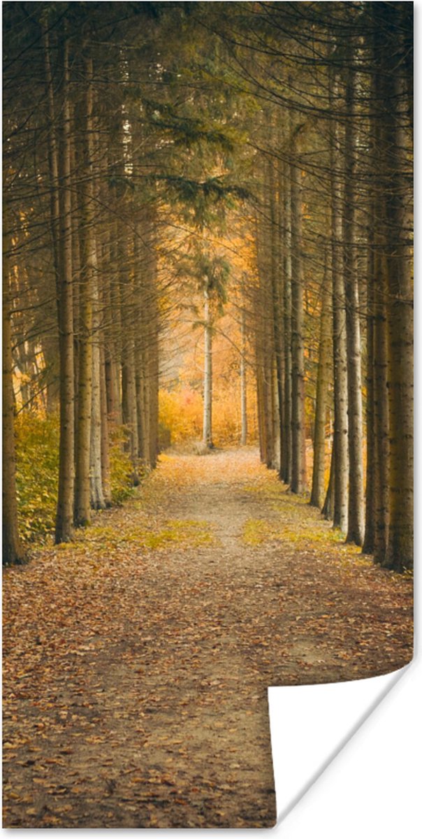 Poster Pad - Bomen - Bos - 60x120 cm