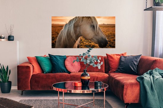 Poster Cheval - Animaux - Portrait - 120x60 cm