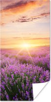 Affiche Lavande - Soleil - Fleurs - 60x120 cm