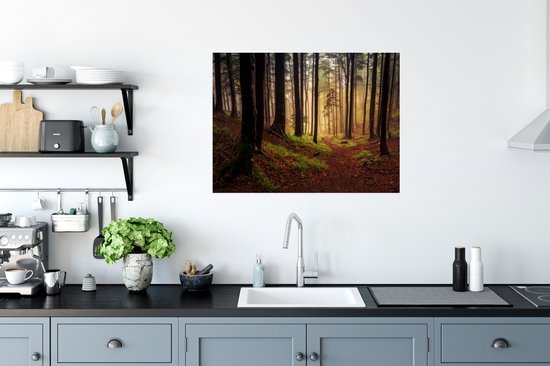 Affiche Arbres - Nature - Forêt - 80x60 cm