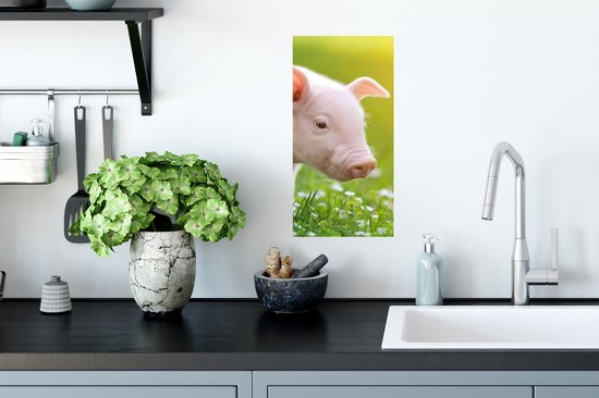 Poster Animaux - Porcinet - Cochon - 20x40 cm