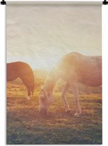 Wandkleed - Wanddoek - Paarden - Zon - Dieren - 90x135 cm - Wandtapijt