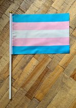 LGBTQ - Vlaggetje trans kleuren, 21,5 x 14,5 cm (LGBTQIA+, pride, love, LHBTI+, LHBTIQA+, gay, trans, bi, lesbo, homo)