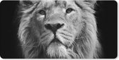 Muismat XXL - Bureau onderlegger - Bureau mat - Aziatische leeuw tegen zwarte achtergrond in zwart-wit - 80x40 cm - XXL muismat