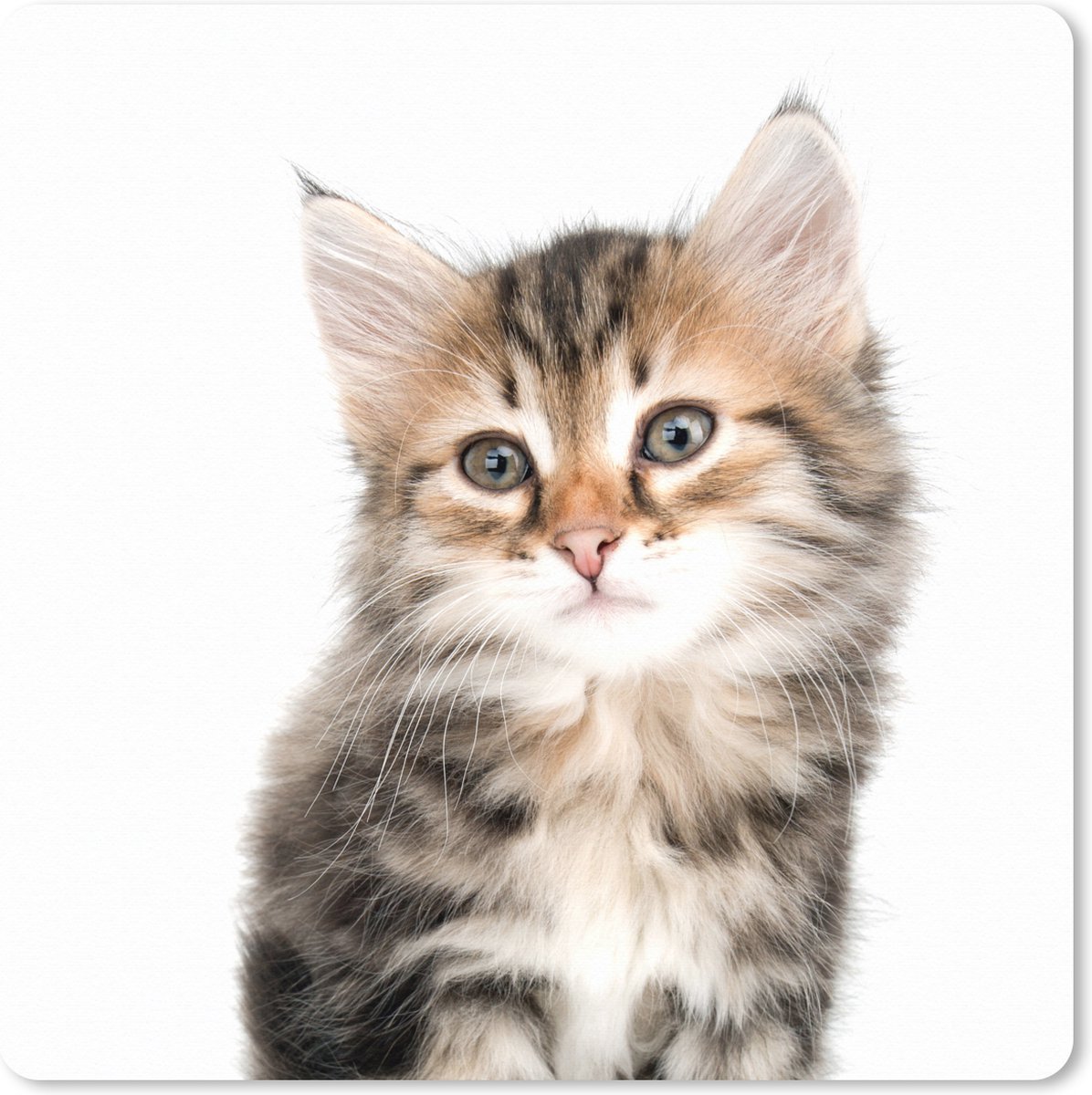 Muismat XXL 40x40 cm - Bureau onderlegger - Bureau mat Kitten - Wit - Neus - Meisjes - Kinderen - Jongens - Kids - Bureaumat - Gaming mousepad xl - Bureaulegger groot - Computer deskmat