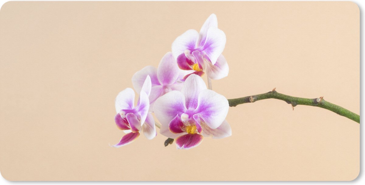 Muismat XXL 80x40 cm - Bureau onderlegger - Bureau mat Witte en roze orchidee - Bureaumat - Gaming mousepad xl - Bureaulegger groot - Computer deskmat
