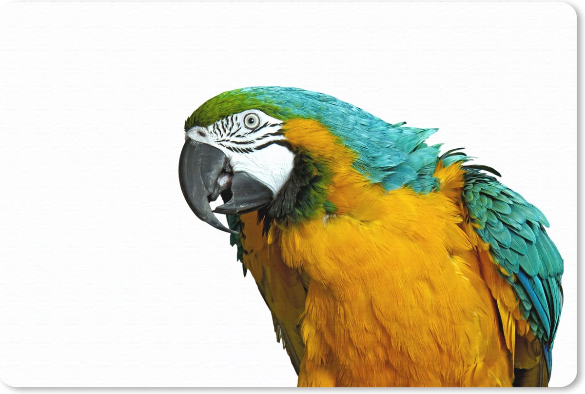 Muismat XXL 90x60 cm - Bureau onderlegger - Bureau mat Papegaai - Vogel - Veren - Portret - Bureaumat - Gaming mousepad xl - Bureaulegger groot - Computer deskmat