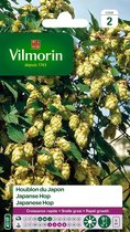 Vilmorin - Japanse Hop - V411