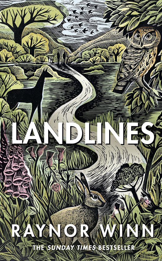 Boek cover Landlines van Raynor Winn (Hardcover)