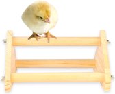Perchoir à poulet - Pour poulailler - poulailler avec enclos - balançoire à poulet - speelgoed pour poulet - accessoires pour poulet