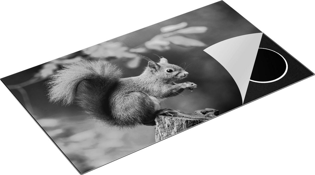 Chefcare Inductie Beschermer Eekhoorn op een Boomstam in het Bos - Zwart Wit - 90x50 cm - Afdekplaat Inductie - Kookplaat Beschermer - Inductie Mat
