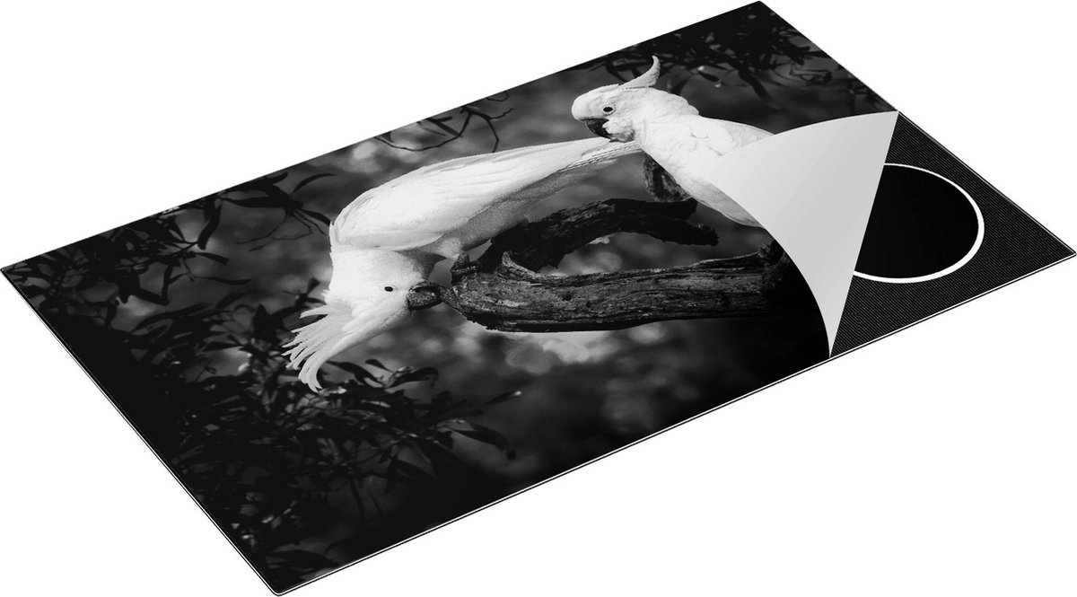 Chefcare Inductie Beschermer Twee Kaketoes in de Bomen - Zwart Wit - 91,6x52,7 cm - Afdekplaat Inductie - Kookplaat Beschermer - Inductie Mat