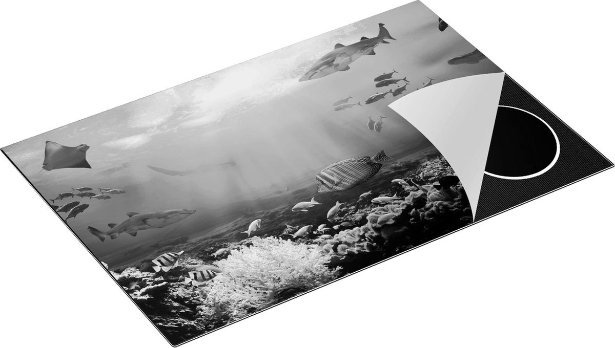 Chefcare Inductie Beschermer Vissen met Haaien in de Oceaan met Koraalrif - Zwart Wit - 83x51,5 cm - Afdekplaat Inductie - Kookplaat Beschermer - Inductie Mat