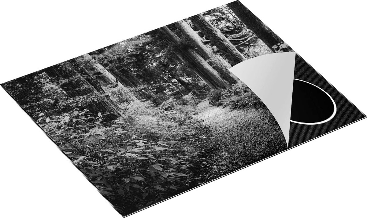 Chefcare Inductie Beschermer Voetpad in het Bos - Zwart Wit - 65x55 cm - Afdekplaat Inductie - Kookplaat Beschermer - Inductie Mat