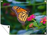 Tuinposter - Vlinders - Bloemen - Roze - Flora - Tuindecoratie - 80x60 cm - Tuindoek - Tuinschilderij