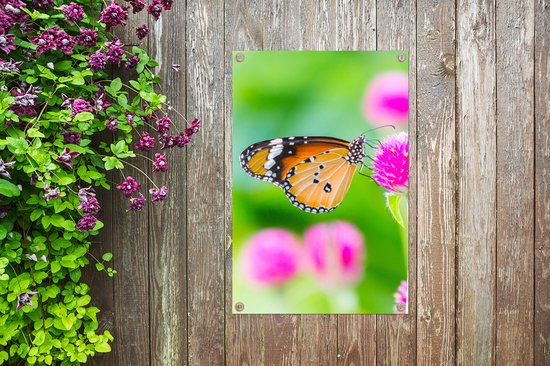 Affiche jardin - Papillon - Insectes - Fleurs - Fauna - Décoration de jardin - 40x60 cm - Toile jardin