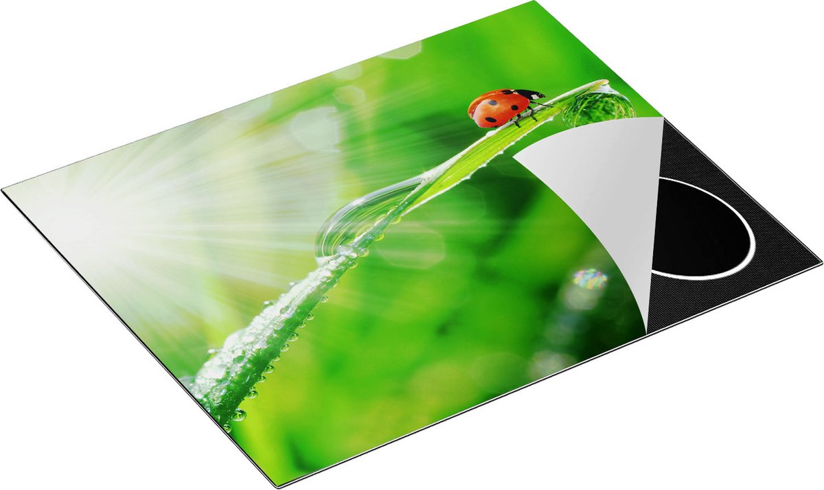 Chefcare Inductie Beschermer Lieveheersbeestje op een Grasspriet - 65x55 cm - Afdekplaat Inductie - Kookplaat Beschermer - Inductie Mat