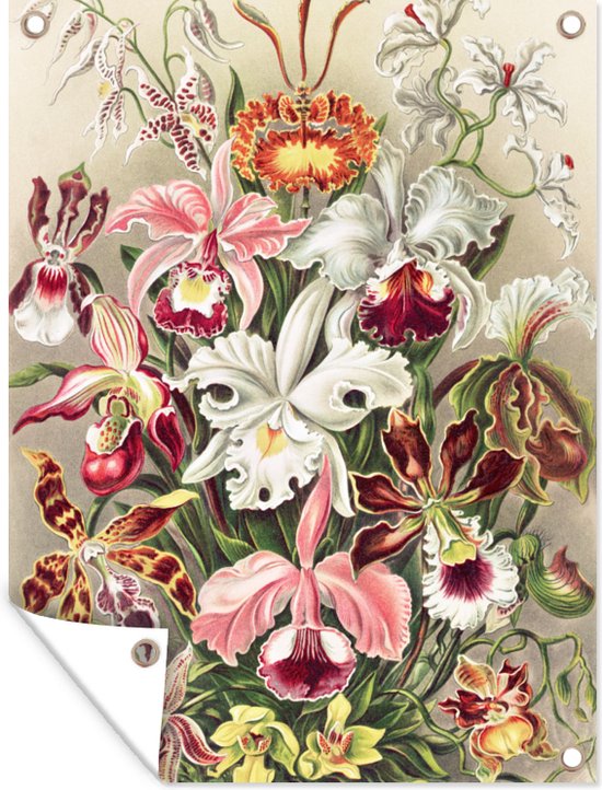 Tuinposter - Tuin - Bloemen - Kunst - Vintage - Schuttingdecoratie - Ernst Haeckel - 60x80 cm - Tuinschilderij - Wanddecoratie - Tuindoek - Buitenposter