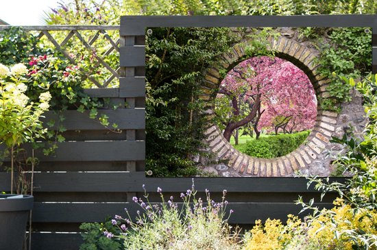 Vue d'un cerisier sakura en fleurs à travers un cercle de pierre. Accroché à une clôture en bois gris foncé.
