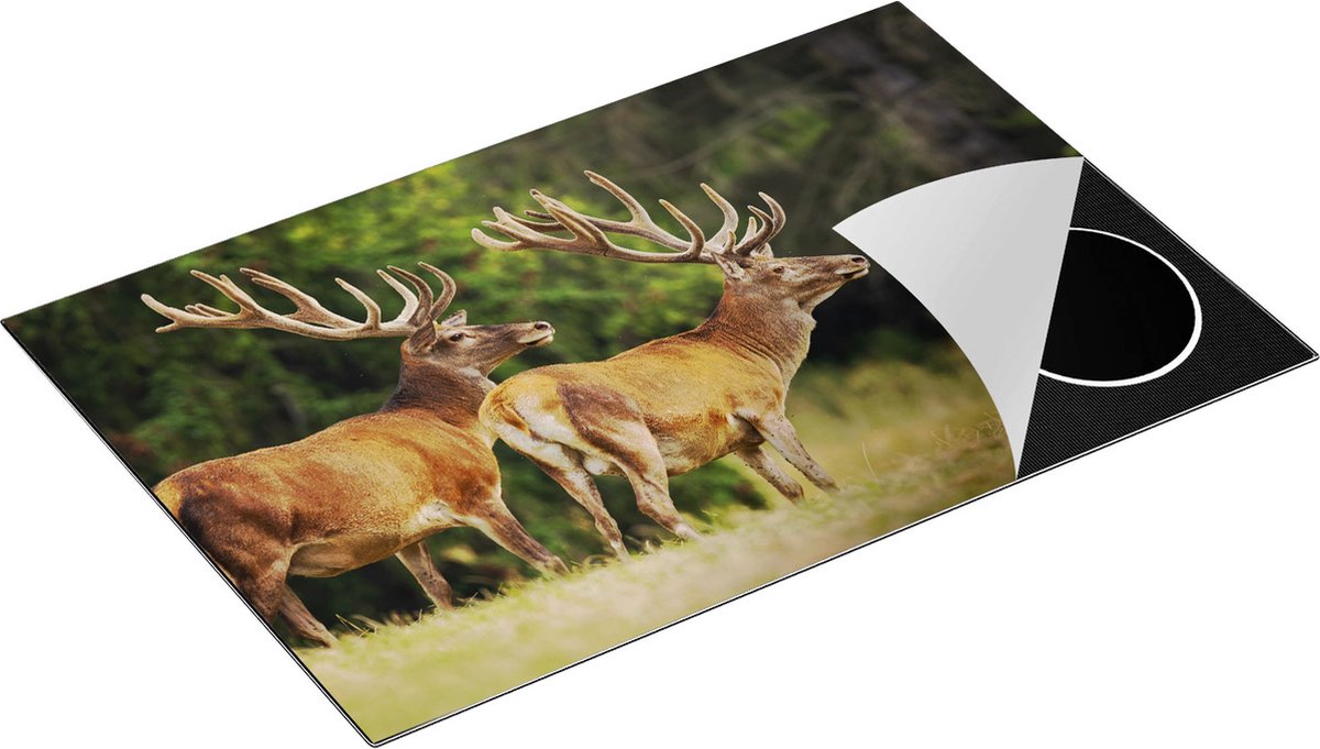 Chefcare Inductie Beschermer Twee Herten in het Bos met Grote Gewei - 80x50 cm - Afdekplaat Inductie - Kookplaat Beschermer - Inductie Mat