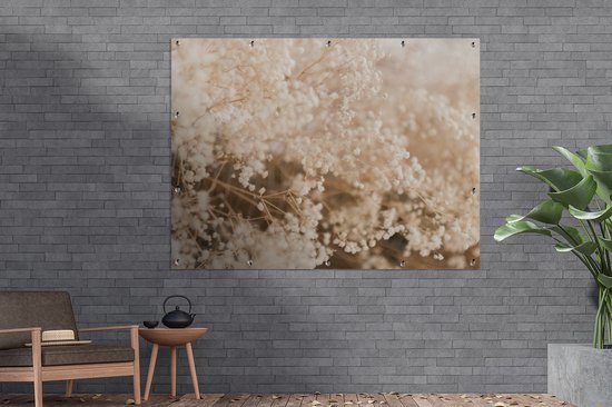 Affiche de jardin - Pampa - Herbe de la pampa plante de jardin - Plantes - Nature - Rose - 160x120 cm - Affiche de jardin fleurs - Jardin - Décoration murale - Décoration murale - Toile de jardin - Affiche extérieure