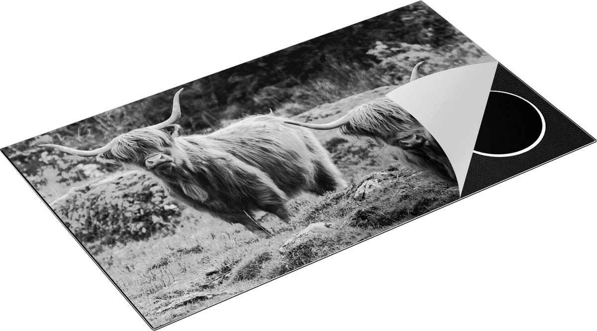 Chefcare Inductie Beschermer Twee Schotse Hooglanders bij Stenen - Zwart Wit - 91,2x52 cm - Afdekplaat Inductie - Kookplaat Beschermer - Inductie Mat