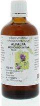 Medicago sativa / alfalfa tinctuur