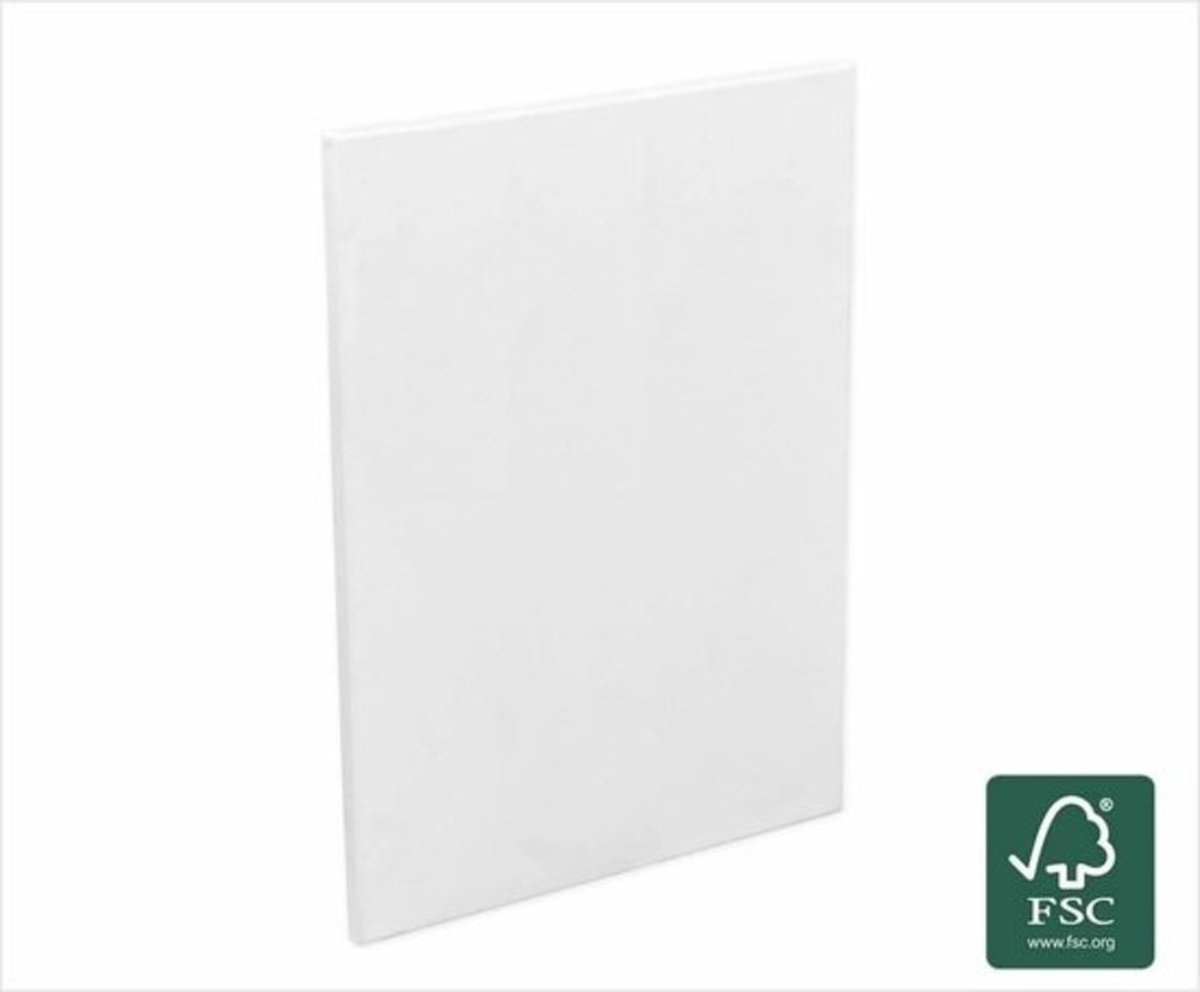 Artina FSC® Schildersdoeken 3D Premium - 60x60 cm - 2 stuks - Voorgerekte Doeken Wit met FSC® Houten Kaders Stabiele Voorbehandelde Canvas Schildersdoek 380g/m142