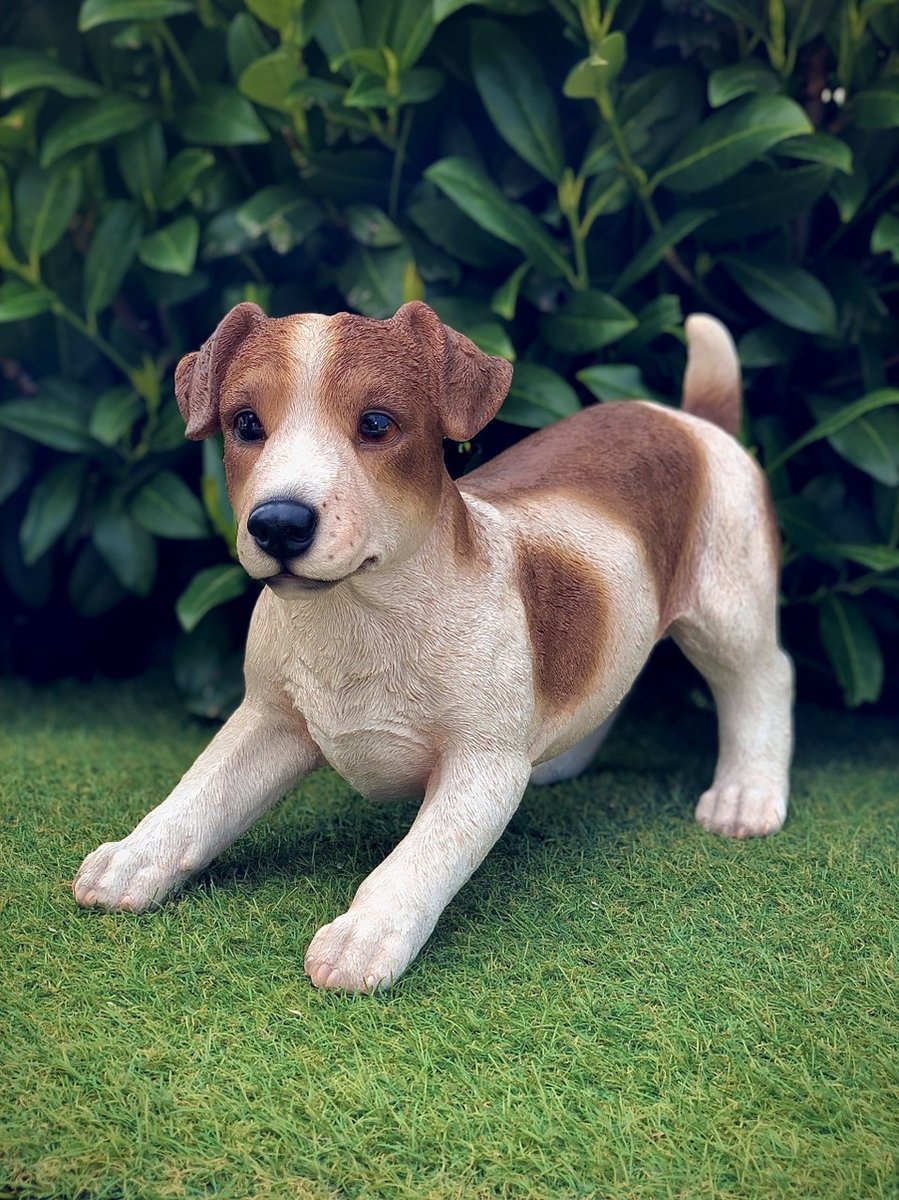 Jack Russell Terrier moyen réaliste polystone 24 cm de haut - polyester -  polystone 