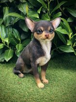 Chihuahua chocolate 23 cm - hond - dog - polyester - polystone - beeld - tuinbeeld - hoogkwalitatieve kunststof - decoratiefiguur - interieur - accessoire - voor binnen - voor buiten - cadeau - geschenk