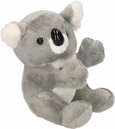 Pluche koala knuffel beer 14 cm - knuffelberen voor kinderen