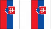 Luxe Slowakije vlaggenlijn 9 m