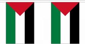 Palestina vlaggenlijn - 9 m - slingers