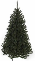 Sapin de Noël artificiel Kingston - Black Box - 482 pointes - 155 cm