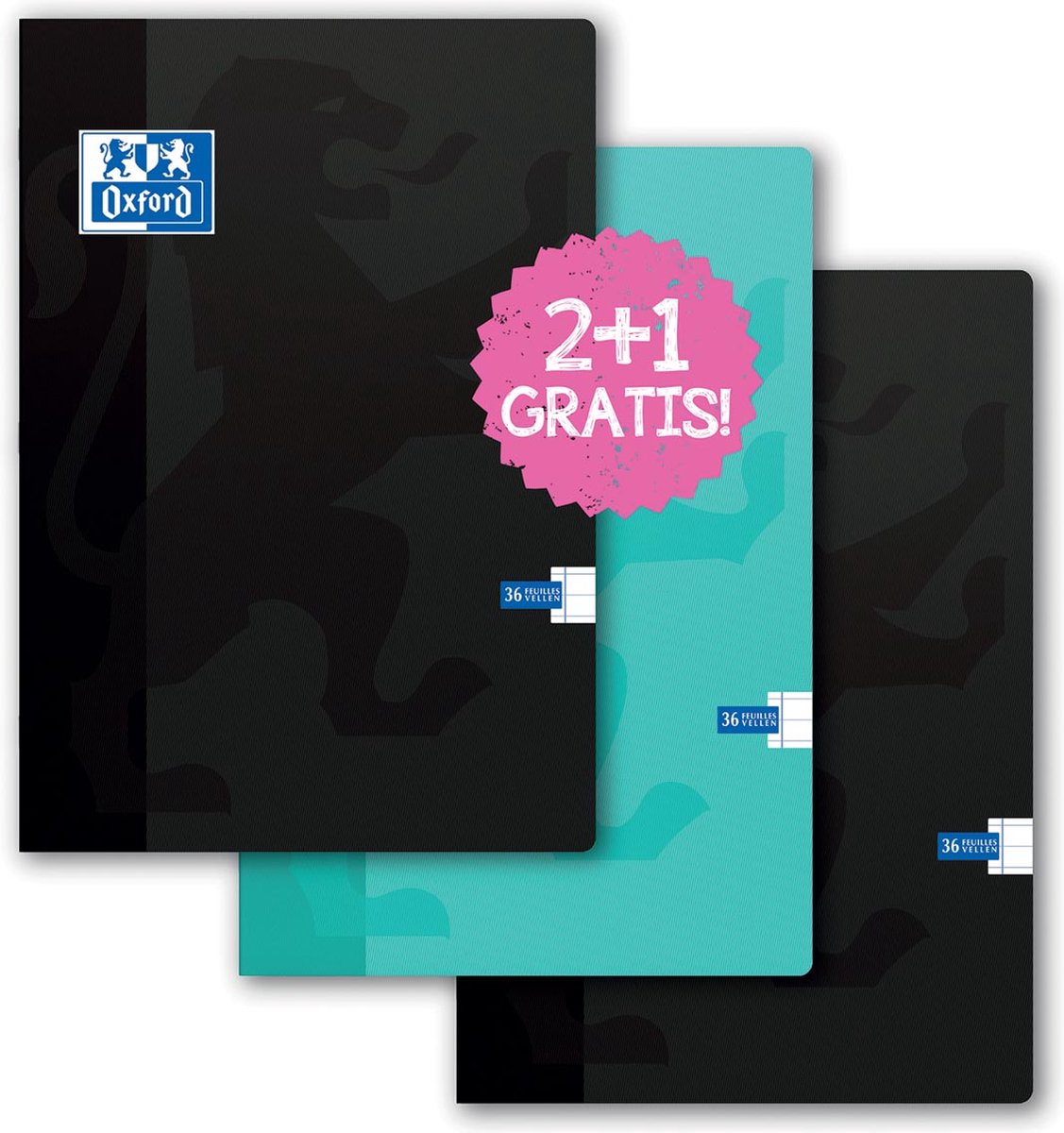 A4-schriften "Back to School" - Pak van 3 Geruit of Lijn schriften — geruit