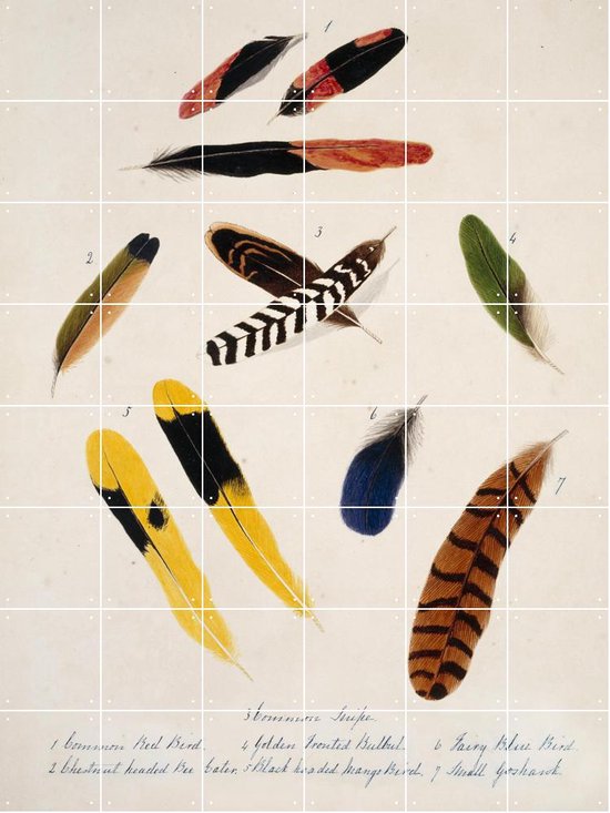 IXXI Collection of birds feathers - Wanddecoratie - 160 x 120 cm