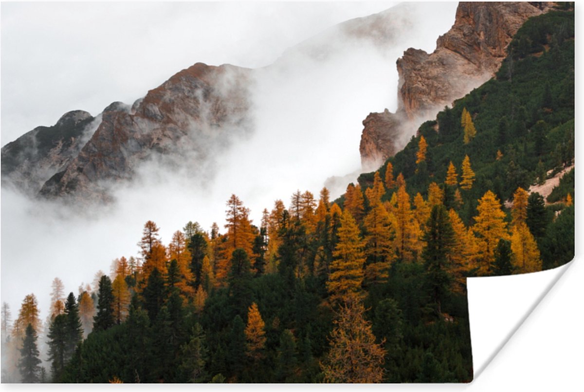 Poster Berg - Mist - Bos - 60x40 cm