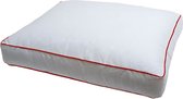 Oreiller Swiss Box - Oreiller - Anti-allergique - 100 % Katoen 60 x 50 x 10 cm -2 Pièces - Oreiller de Couchage