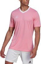 adidas - Entrada 22 Jersey - Roze voetbalshirt-L