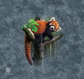 Tumbler Red Panda Tree 500 ml