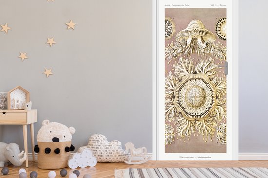 Sticker de porte Vintage - Ernst Haeckel - Méduse - Art - 90x235 cm - Affiche de porte