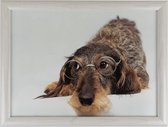 Mars & More Laptray Pad Wirehaired Dachshund Humour