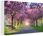 Canvas schilderij 180x120 cm - Wanddecoratie Roze bloesem in Greenwich Park in zomer, Great-London, VK - Muurdecoratie woonkamer - Slaapkamer decoratie - Kamer accessoires - Schilderijen
