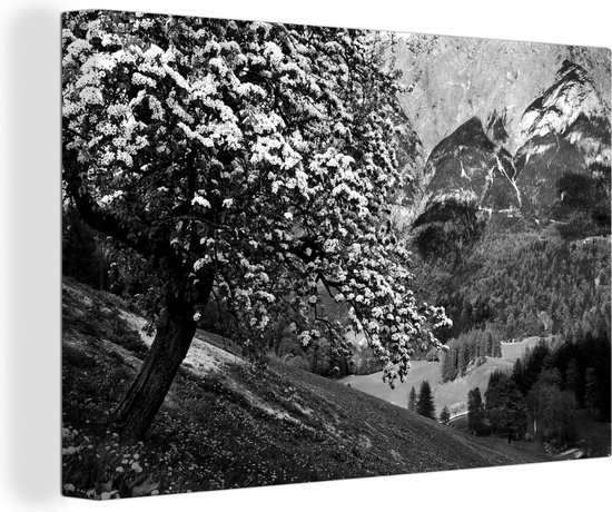 Canvas Schilderij Lente in de Salzburger Alpen - zwart wit - 60x40 cm - Wanddecoratie
