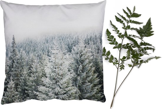 Sierkussens - Kussentjes Woonkamer - 50x50 cm - Bos - Sneeuw - Winter - Seizoenen - Dennenboom