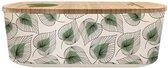 PLA/Plant Bioloco Lunch Box 20.5cm x Line x 7cm - Art au trait Feuilles