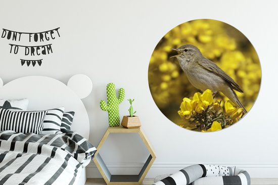 Fitis sur fleurs jaunes Assiette en plastique cercle mural ⌀ 120 cm - impression photo sur cercle mural / cercle vivant (décoration murale) XXL / Groot format!