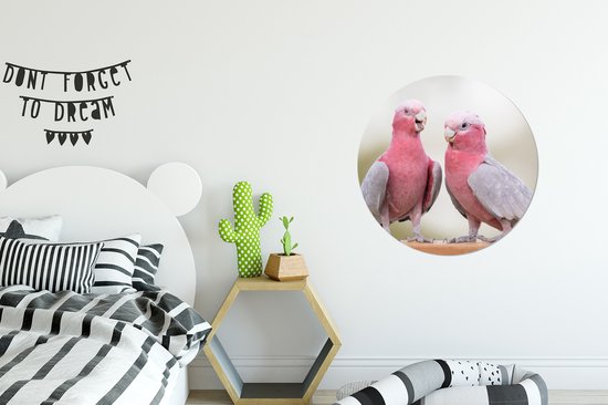 WallCircle - Cercle mural - Cercle mural intérieur - Deux cacatoès roses en conversation - 60x60 cm - Décoration murale - Peintures ronds